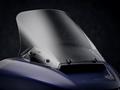 Harley-Davidson  Road Glide Limited 2026 года за 29 000 000 тг. в Алматы – фото 8