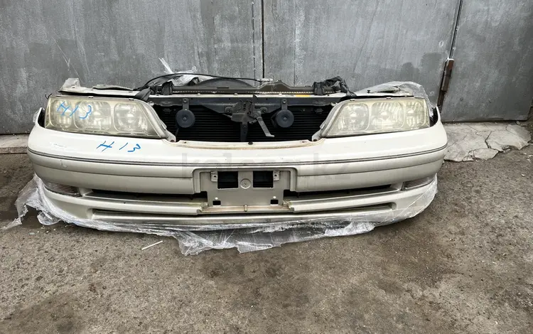 Ноускат за 250 000 тг. в Алматы