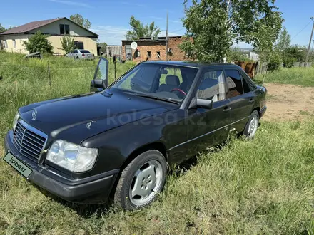 Mercedes-Benz E 220 1994 года за 2 200 000 тг. в Усть-Каменогорск – фото 3