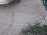 Toyota Camry 2004 года за 3 300 000 тг. в Актобе – фото 3