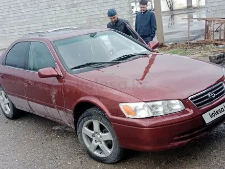 Toyota Camry 2000 года за 3 300 000 тг. в Туркестан – фото 8