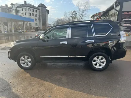 Toyota Land Cruiser Prado 2011 года за 12 800 000 тг. в Кокшетау – фото 6