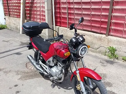 Yamaha  YBR125 2007 года за 760 000 тг. в Алматы – фото 7