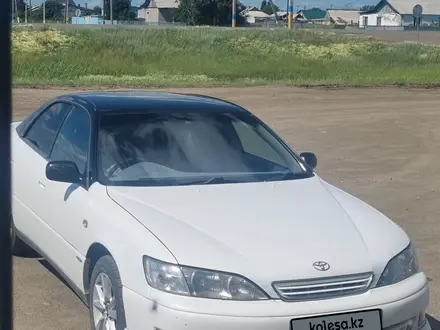 Toyota Windom 1999 года за 4 400 000 тг. в Кокшетау – фото 4