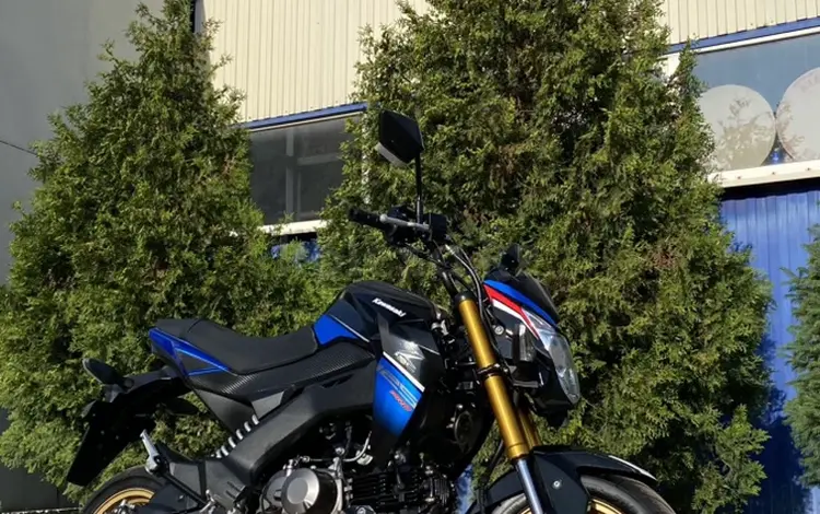 Kawasaki  Z125pro 2020 года за 1 620 000 тг. в Алматы