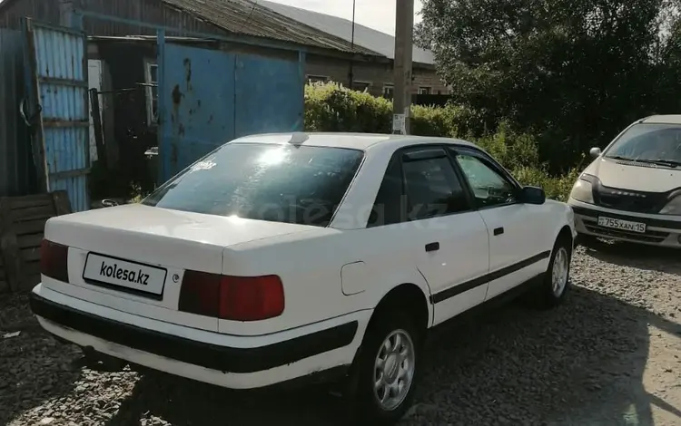 Audi 100 1991 годаүшін1 600 000 тг. в Петропавловск