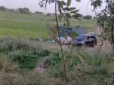 Honda Insight 2004 года за 6 500 000 тг. в Сарыагаш – фото 3