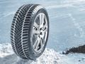 255/50R19 UltraGrip Performance G1 SUV 107V XL Goodyear за 102 000 тг. в Алматы – фото 2