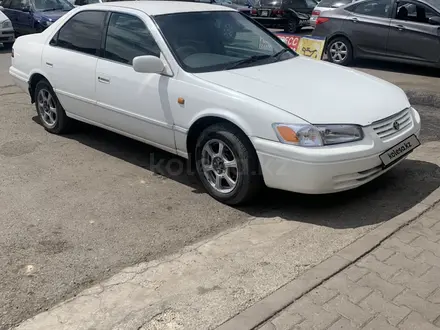 Toyota Camry 1999 года за 3 000 000 тг. в Алматы