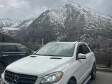 Mercedes-Benz ML 350 2015 годаүшін15 000 000 тг. в Алматы