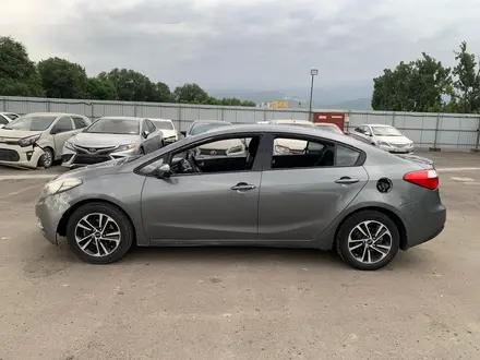 Kia Cerato 2013 года за 3 078 400 тг. в Алматы – фото 7