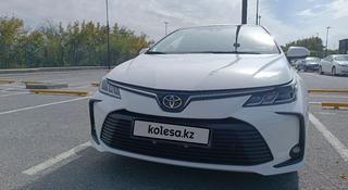 Toyota Corolla 2023 годаүшін9 900 000 тг. в Шымкент