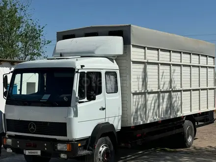 Mercedes-Benz 1992 года за 10 000 000 тг. в Шардара