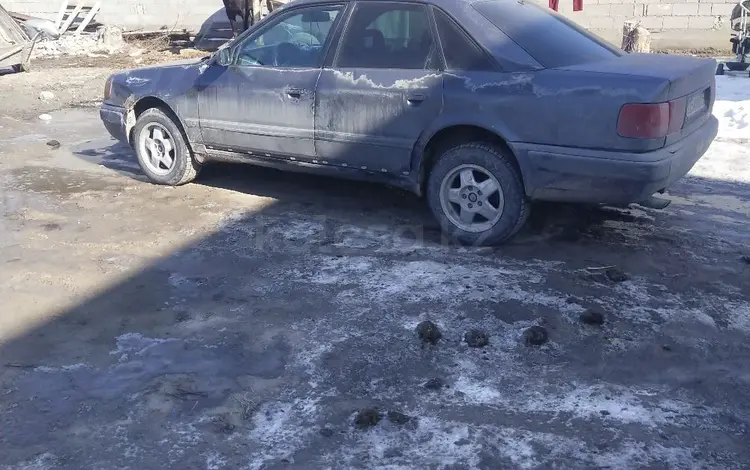 Audi 100 1993 годаүшін1 100 000 тг. в Жаркент