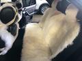 Mercedes-Benz S 320 1998 года за 9 700 000 тг. в Алматы – фото 9