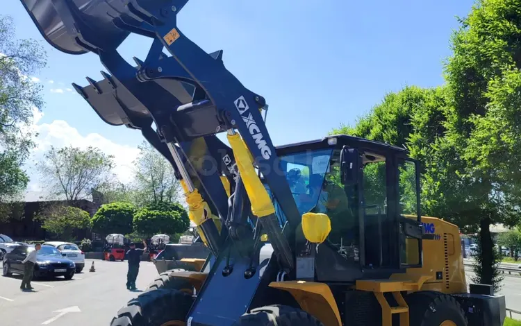 XCMG  LW300FN 2025 года за 15 900 000 тг. в Караганда