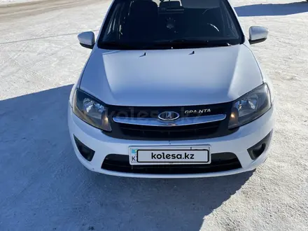 ВАЗ (Lada) Granta 2190 2015 года за 2 630 000 тг. в Караганда – фото 2