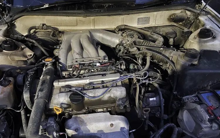 Toyota Windom 1995 года за 1 450 000 тг. в Алматы