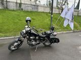 Yamaha  Virago 1100 1998 года за 1 900 000 тг. в Алматы – фото 4