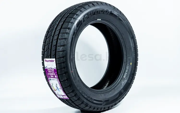 215/60R16 95H — Tourador WINTER PRO TSU2for25 000 тг. в Алматы