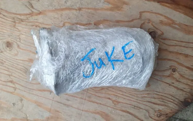 Бензастанция на Nissan JUKE 1.6 turbo за 40 000 тг. в Алматы