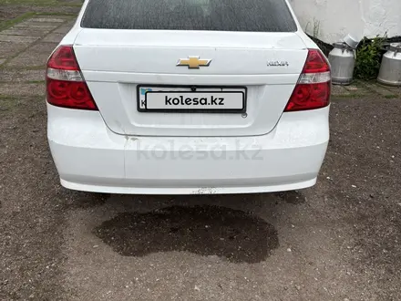Chevrolet Nexia 2022 года за 4 500 000 тг. в Караганда – фото 6