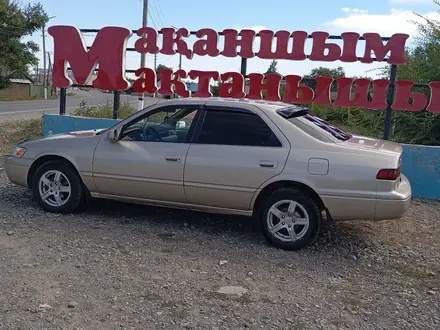 Toyota Camry 1998 года за 3 600 000 тг. в Баршатас