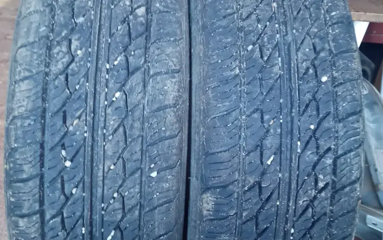 Шины летние Кама 185/65 R14.2 шт.for16 000 тг. в Актобе