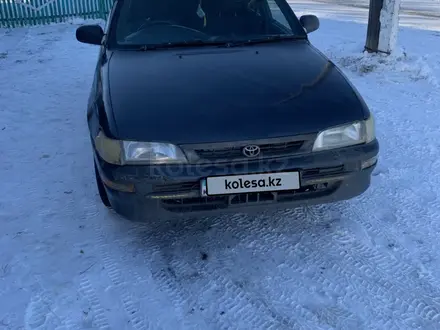 Toyota Corolla 1993 года за 1 200 000 тг. в Кокшетау