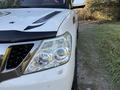 Nissan Patrol 2012 года за 13 750 000 тг. в Алматы – фото 14