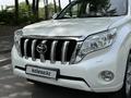 Toyota Land Cruiser Prado 2014 года за 17 900 000 тг. в Алматы – фото 21