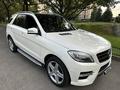 Mercedes-Benz ML 350 2012 года за 15 700 000 тг. в Алматы – фото 10