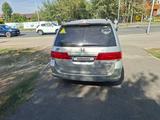 Honda Odyssey 2008 года за 8 000 000 тг. в Алматы – фото 4