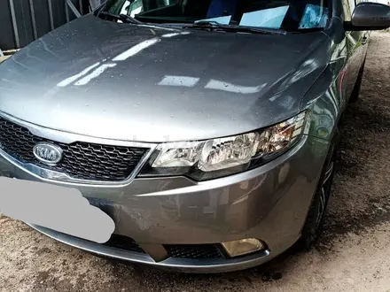 Kia Cerato 2012 года за 4 050 000 тг. в Алматы
