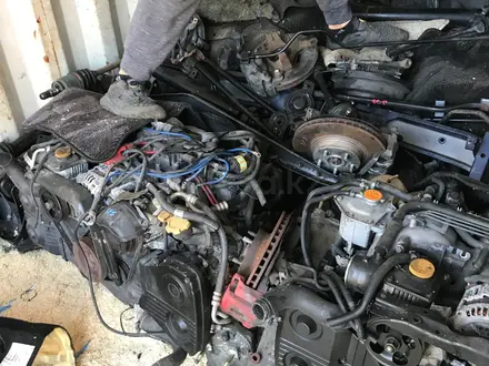 Двигатель Subaru за 350 000 тг. в Алматы – фото 13