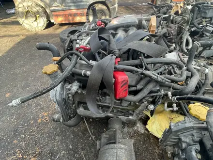 Двигатель Subaru за 350 000 тг. в Алматы – фото 24