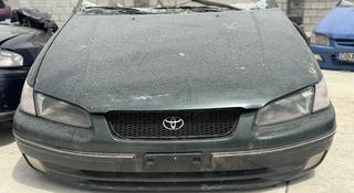 Toyota Camry 20 Европеец (Авкат морда носкат) двигатель механика коробка за 10 000 тг. в Алматы