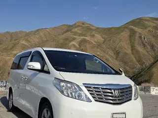 Toyota Alphard, 2009