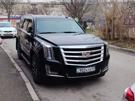 Кортеж. Гулянка. Выписка из роддома в Шымкент – фото 3