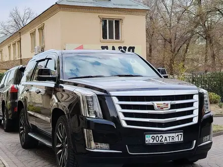 Кортеж. Гулянка. Выписка из роддома в Шымкент – фото 4