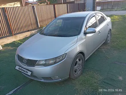 Kia Cerato 2010 года за 3 700 000 тг. в Алматы