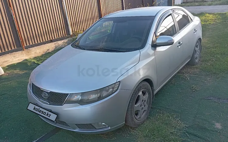 Kia Cerato 2010 года за 3 700 000 тг. в Алматы