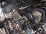 Двигатель Ford Focus 1.4-1.6 с датчиком и без датчика. за 2 024 тг. в Алматы