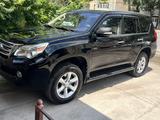 Lexus GX 460 2010 года за 15 500 000 тг. в Тараз – фото 3