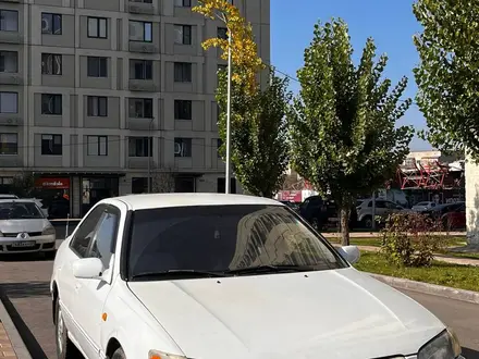 Toyota Camry 1998 года за 2 650 000 тг. в Алматы – фото 19