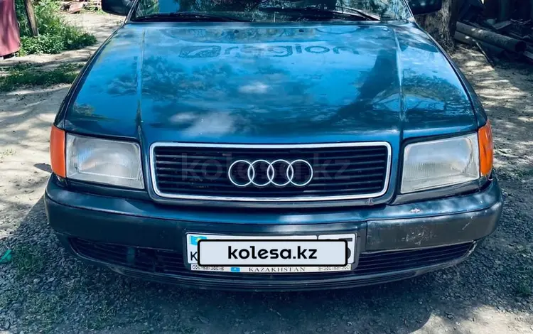 Audi 100 1992 годаүшін1 250 000 тг. в Жаркент