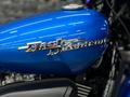 Harley-Davidson  XG 750 STREET ROD 2018 года за 4 250 000 тг. в Алматы – фото 14