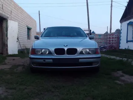 BMW 520 1996 года за 2 950 000 тг. в Павлодар