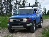 Мухобойка (дефлектор капота) на Toyota FJ Cruiser за 26 000 тг. в Алматы – фото 2