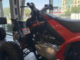 BRP  Квадроцикл Can-Am DS STD 250 2023 года за 5 130 000 тг. в Алматы – фото 4
